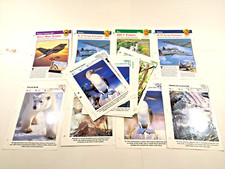 Lot of 23 International Media