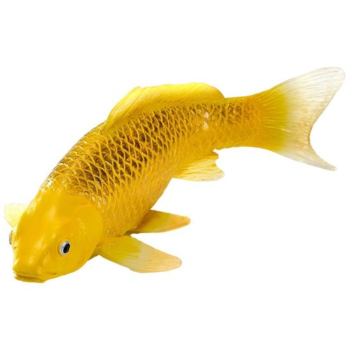 Mojo matsuba koi fish - koi,