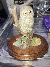 Border Fine Arts, One Owlet