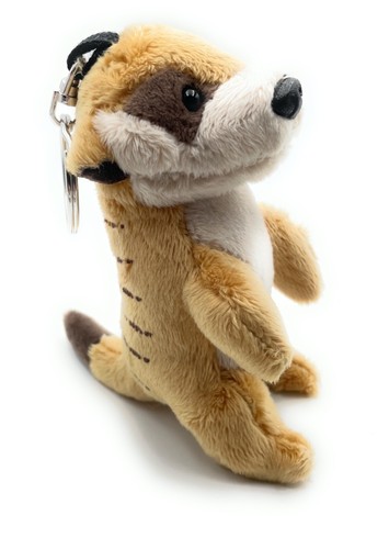 Meerkat hoofed animal - meerkat,