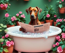 Rhodesian Ridgeback in Bath Metal Sign, Rhodesian Ridgeback Plaque