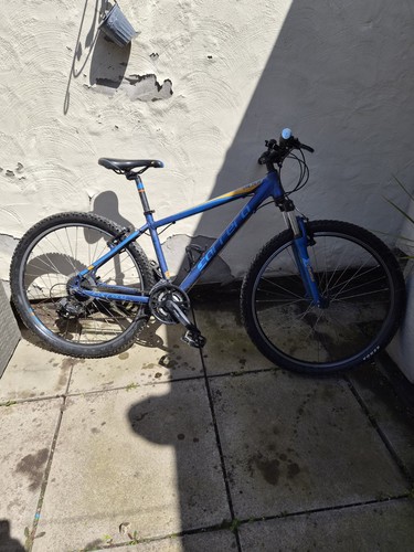 Carrera valour mountain bike - carrera,