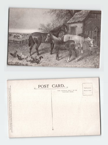 Vintage postcard herring - postcard,