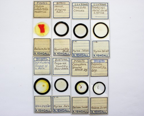 Antique microscope slides - 8,