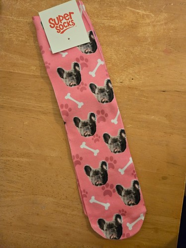 French bulldog socks - french,