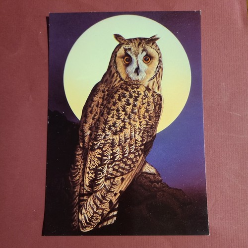 Postcard owl adrian - by, rigby