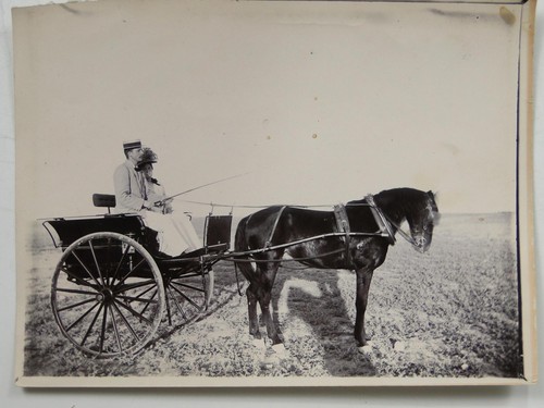 Couple horse drawn - couple, carriage