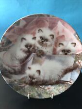 Himilayans  All locked up cat collectors plate