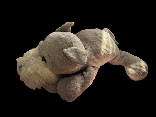 Rare jumbo russ - jumbo,