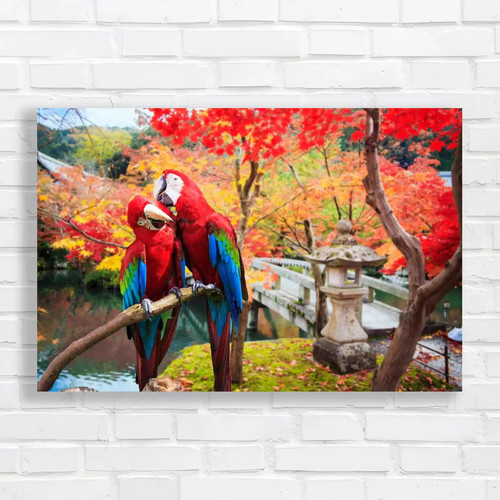Blue gold macaw - macaw, canvas