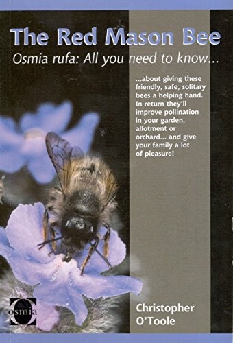 The red mason bee - red,