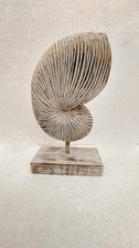 Nautilus Shell on stand Hand
