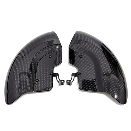 100 carbon fiber front - rs-v4,