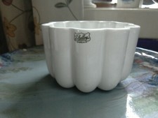 BEAUTIFUL SHELLEY  JELLY OR