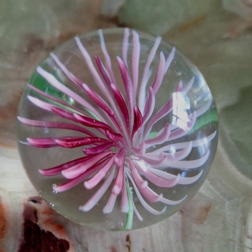 Glass paperweight with - glass, pink