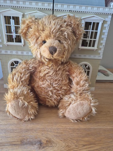 Beautiful nicholas bear - bear, from