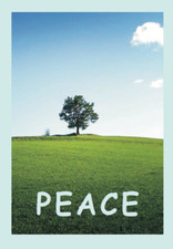 PEACE Bible Gospel Tract