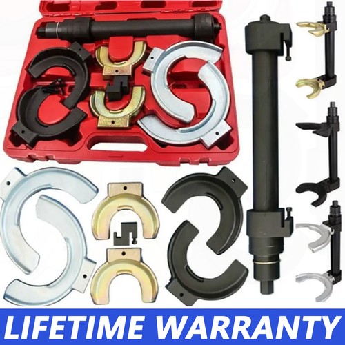Universal strut spring - strut,