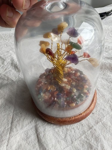 Serenity wish tree with - serenity,