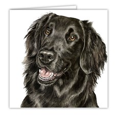 Flat-coated Retriever