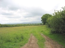 Photo 6x4 Pasture land with