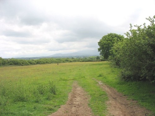 Photo 6x4 pasture - photo,