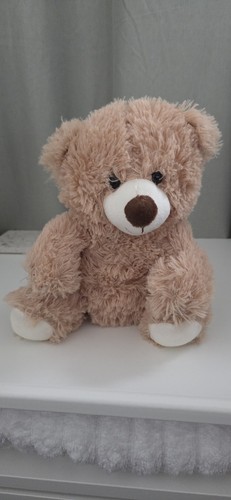Small brown teddy bear - teddy,