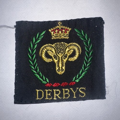 Boy scout badge - badge, derbys