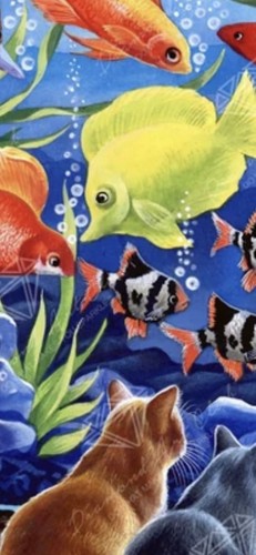 Kittens and fish - and,