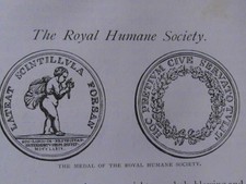 Royal Humane Society Bravery Medal Pennett Wintz McRae Girby Old Article 1893