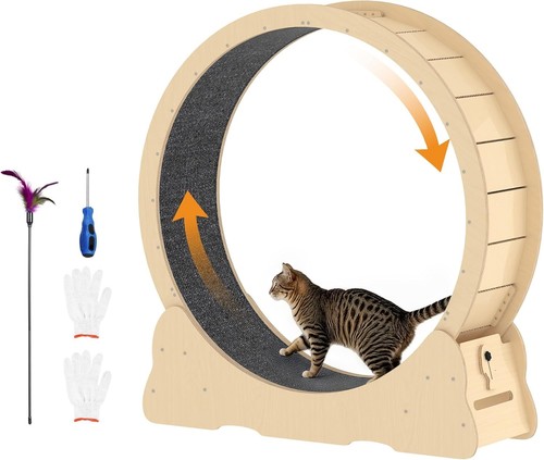 Cat exercise wheel large - wheel,,