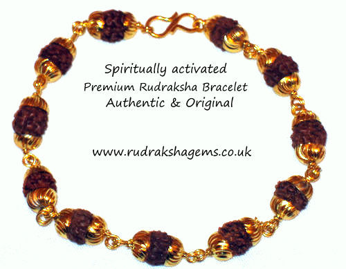 Rudraksha rudraksh bead - rudraksha,