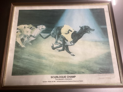 David french greyhound - french,