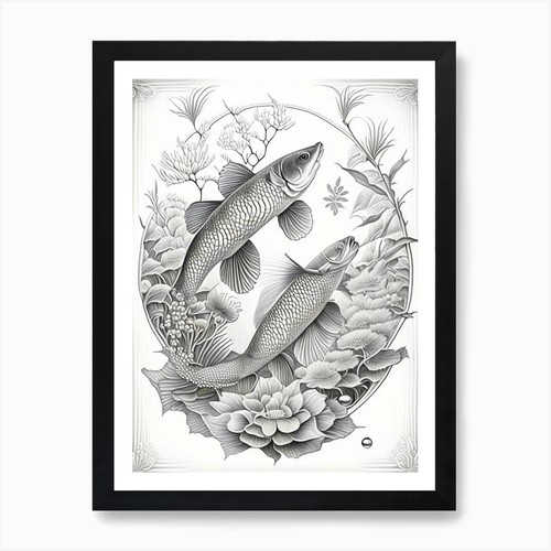 Kin showa koi fish haeckel - kin,