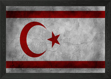 Turkish Republic Framed Wall