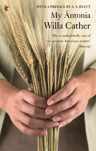 Antonia virago modern - my,