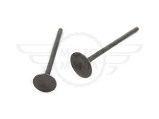 Inlet & Exhaust Valves for