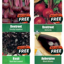 Vegetable seeds herb fruit - seeds,