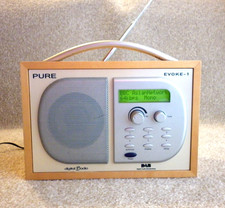 Quality PURE Evoke-1 Portable