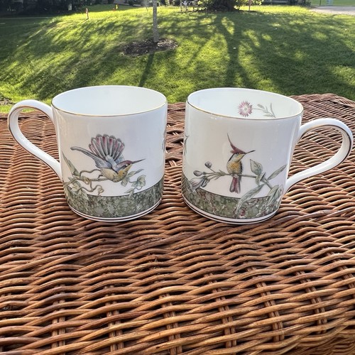 Wedgwood hummingbirds bone - hummingbirds,