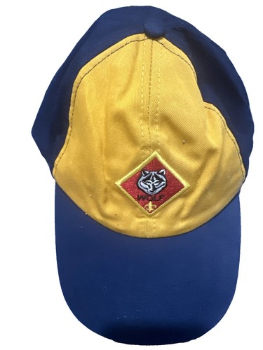 Boy scouts cub scout blue - cub,