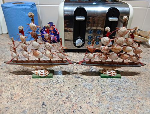 Pair seashell sailing - pair, ship