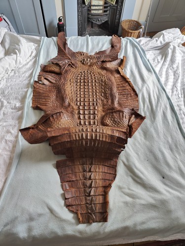 Genuine crocodile skin
