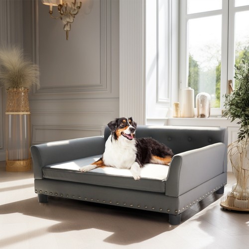 Morden raised pet - bed, dog