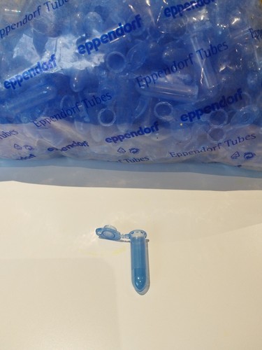 Eppendorf safe lock tubes - eppendorf, safe-lock