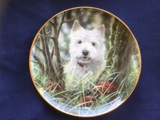 Danbury Mint Westies “Hide and Seek “ plate