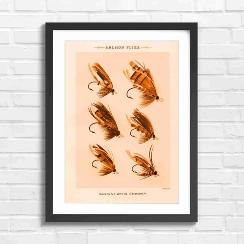 Vintage salmon fly - salmon, art