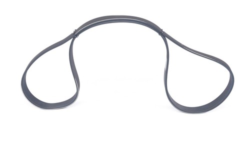 Bosch ribbed belt - belt, fits