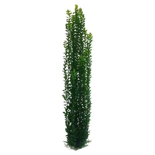 Large aquarium garden pond - garden,