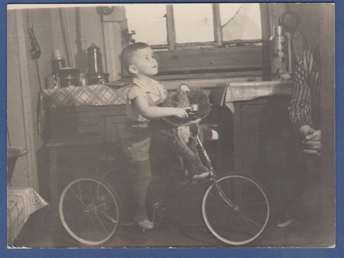 Beautiful boy kid s - a, bike